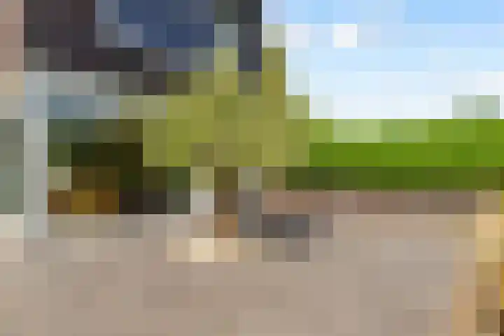 Werpanker 21 Almere thumbnail 79