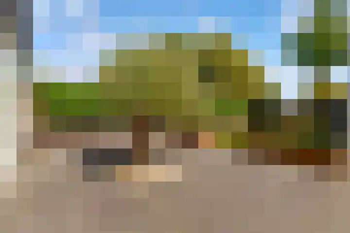 Werpanker 21 Almere thumbnail 80