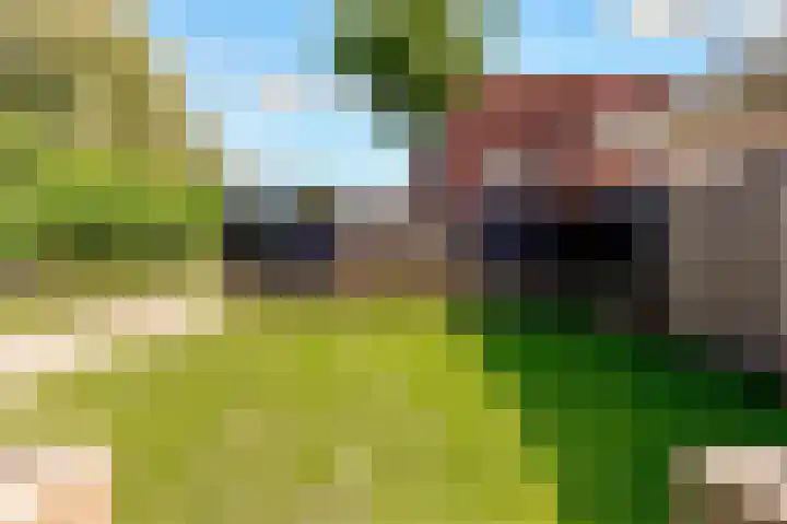 Werpanker 21 Almere thumbnail 81