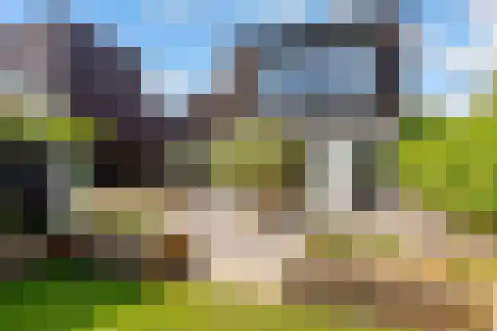 Werpanker 21 Almere thumbnail 82