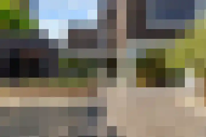 Werpanker 21 Almere thumbnail 83
