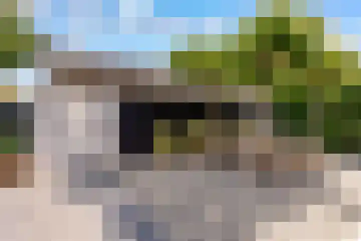 Werpanker 21 Almere thumbnail 86