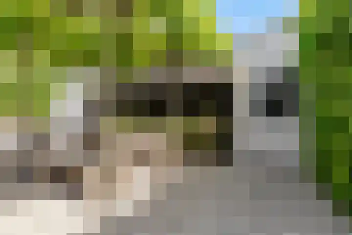 Werpanker 21 Almere thumbnail 87
