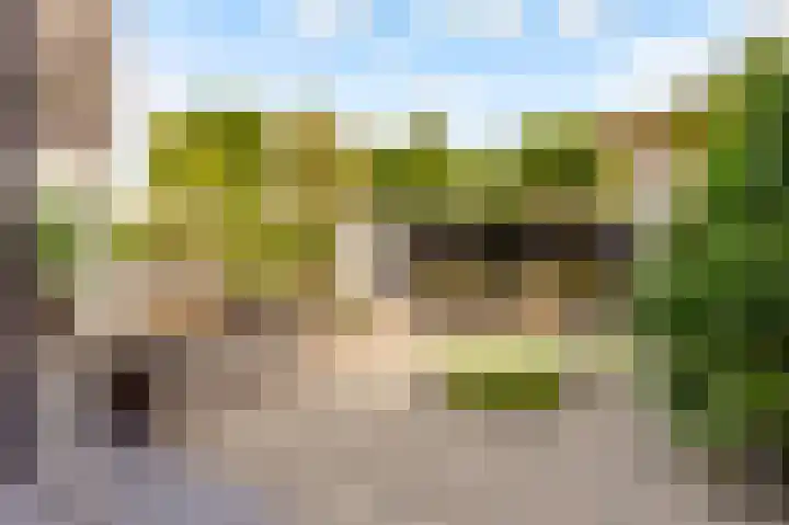 Werpanker 21 Almere thumbnail 89