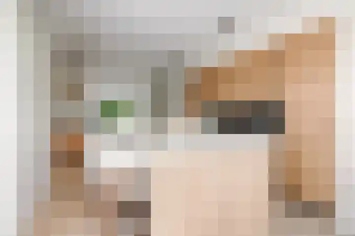 Werpanker 21 Almere thumbnail 9