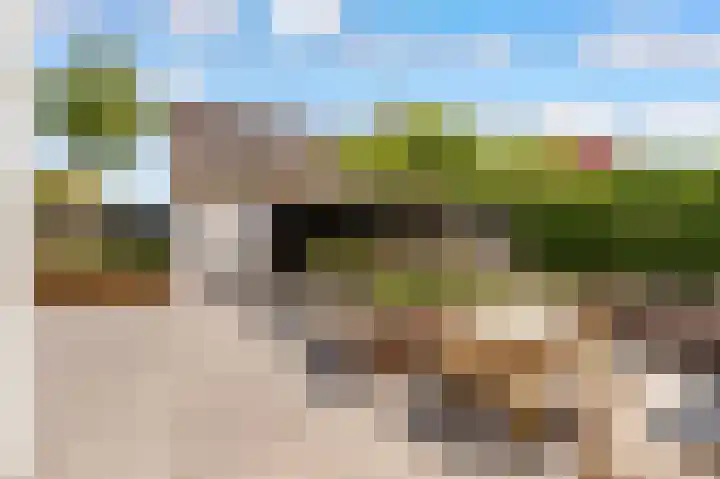 Werpanker 21 Almere thumbnail 90