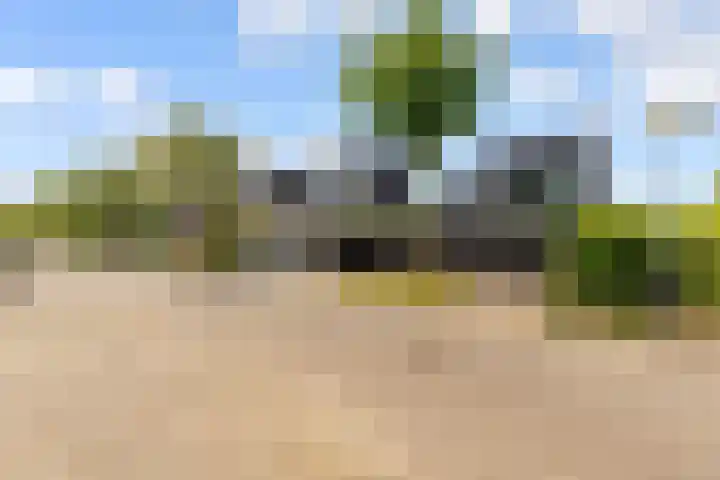 Werpanker 21 Almere thumbnail 93