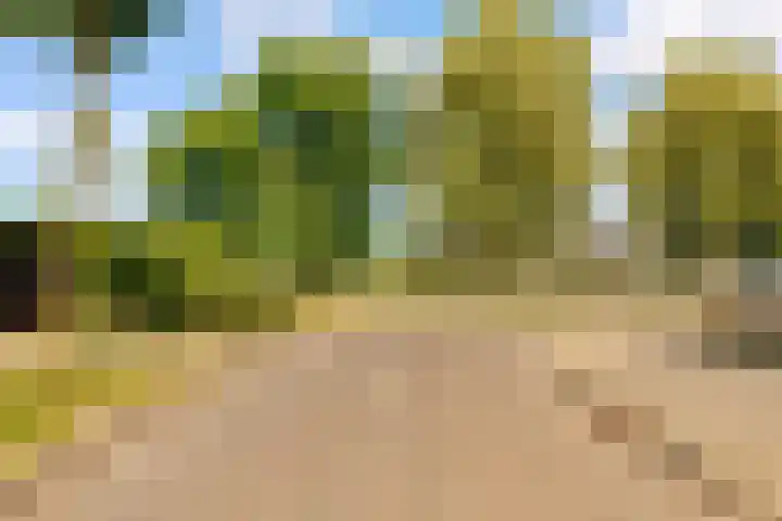 Werpanker 21 Almere thumbnail 94