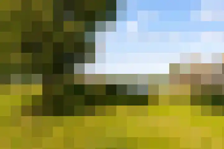 Werpanker 21 Almere thumbnail 95