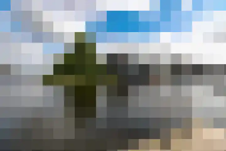 Werpanker 21 Almere thumbnail 97