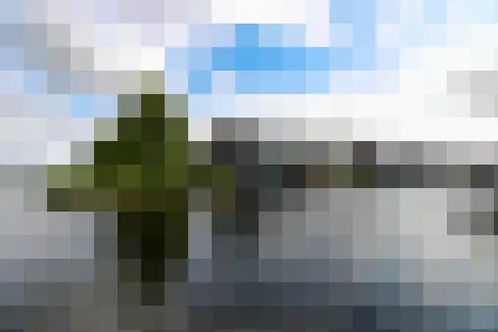 Werpanker 21 Almere thumbnail 98