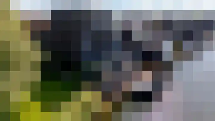 Werpanker 21 Almere thumbnail 99