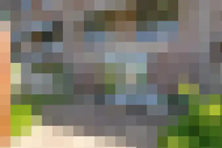Werpanker 48 Almere thumbnail 12