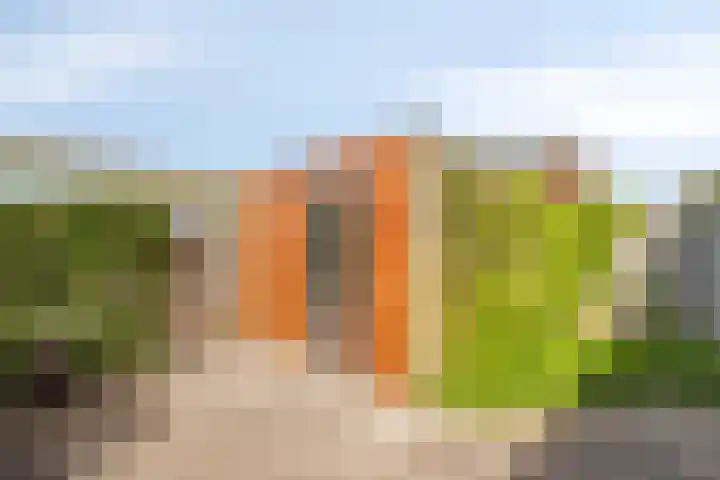 Werpanker 48 Almere thumbnail 13