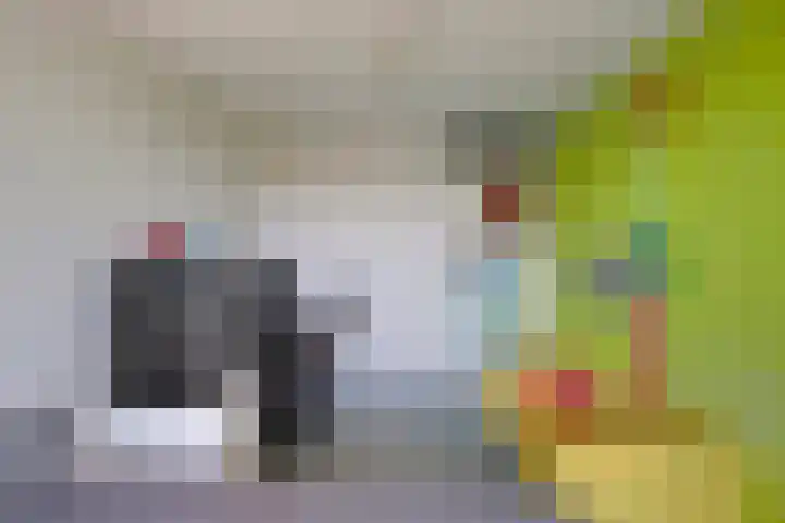 Werpanker 48 Almere thumbnail 30