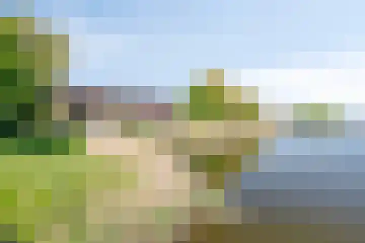 Werpanker 48 Almere thumbnail 31