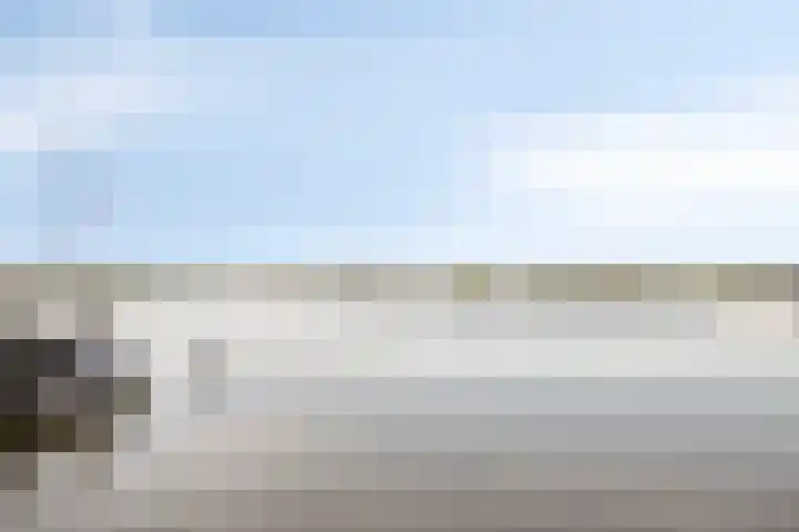 Werpanker 48 Almere thumbnail 32