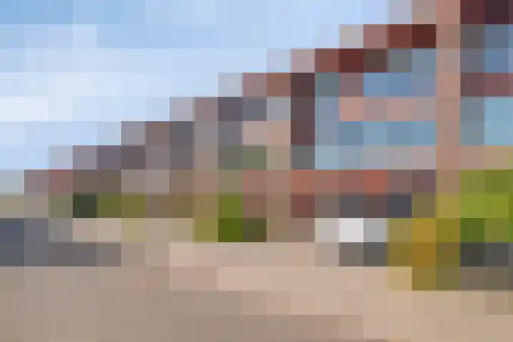 Werpanker 48 Almere thumbnail 5