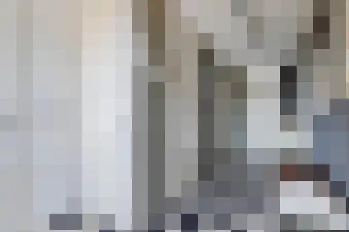 Werpanker 48 Almere thumbnail 8