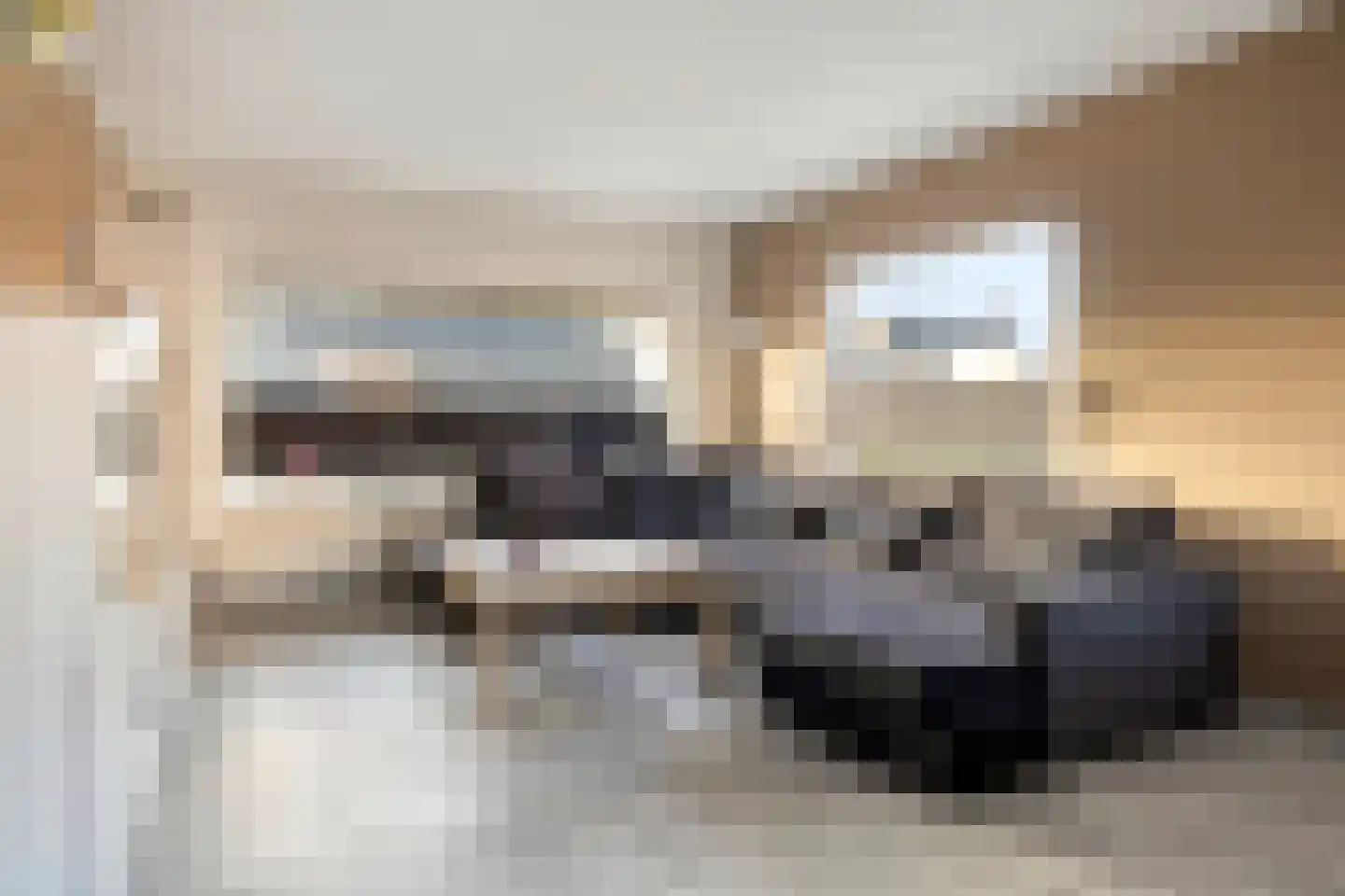 Werrilaan 53 's-Heerenhoek thumbnail 7
