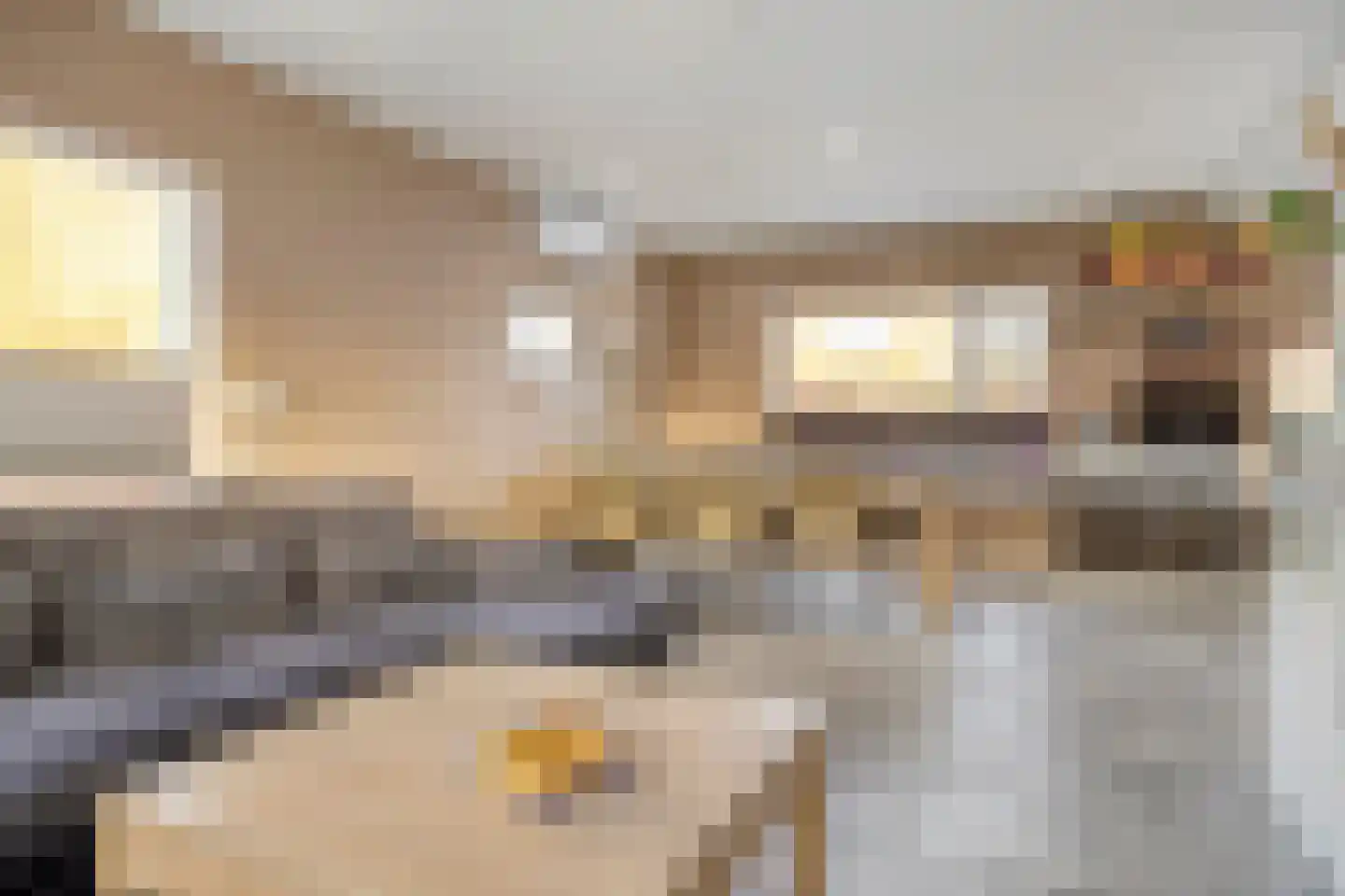 Werrilaan 53 's-Heerenhoek thumbnail 8