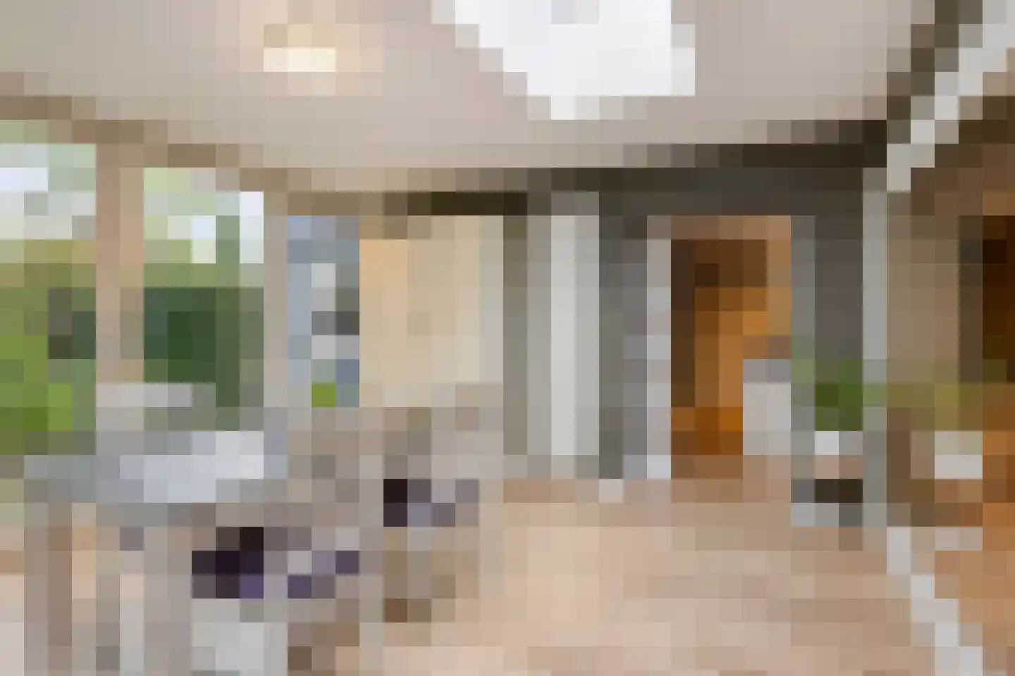 Wersakker 26 Mierlo thumbnail 17
