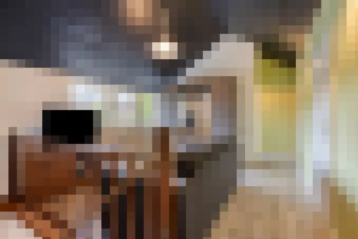 Wersakker 26 Mierlo thumbnail 30