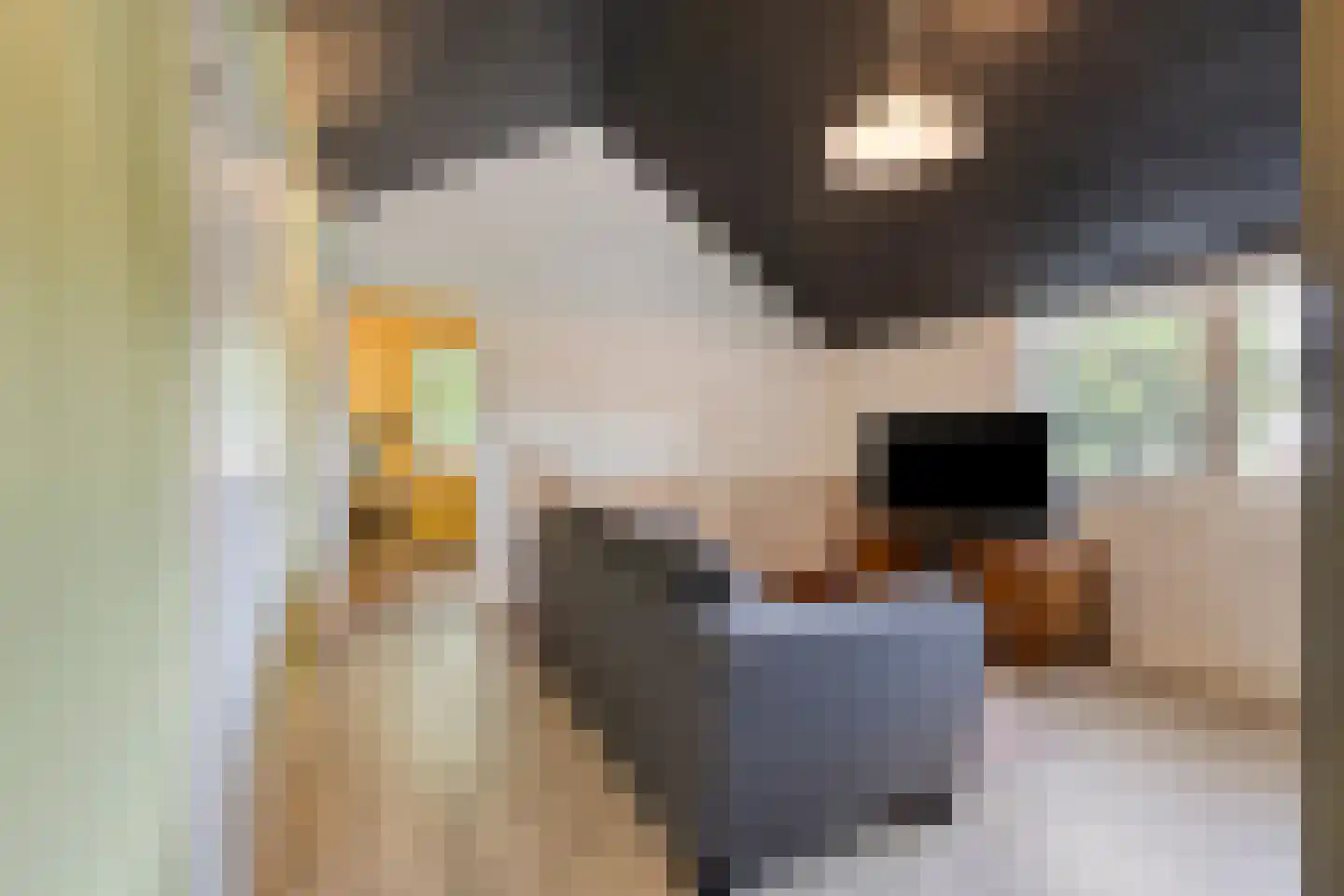 Wersakker 26 Mierlo thumbnail 31