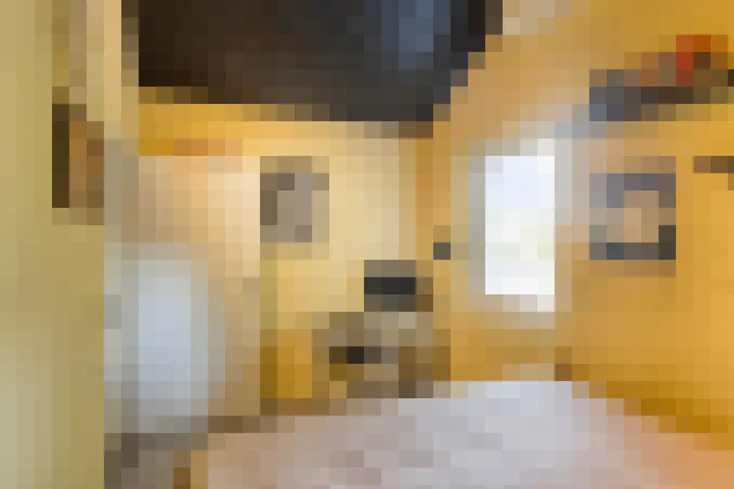 Wersakker 26 Mierlo thumbnail 33