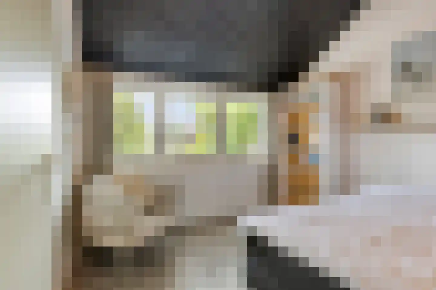 Wersakker 26 Mierlo thumbnail 35
