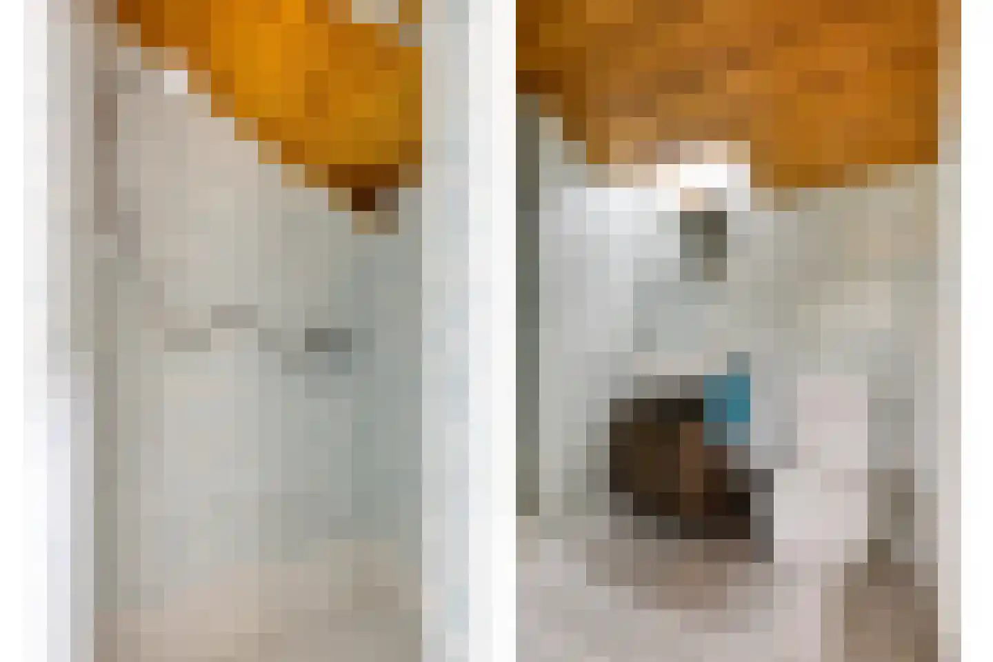 Wersakker 26 Mierlo thumbnail 36
