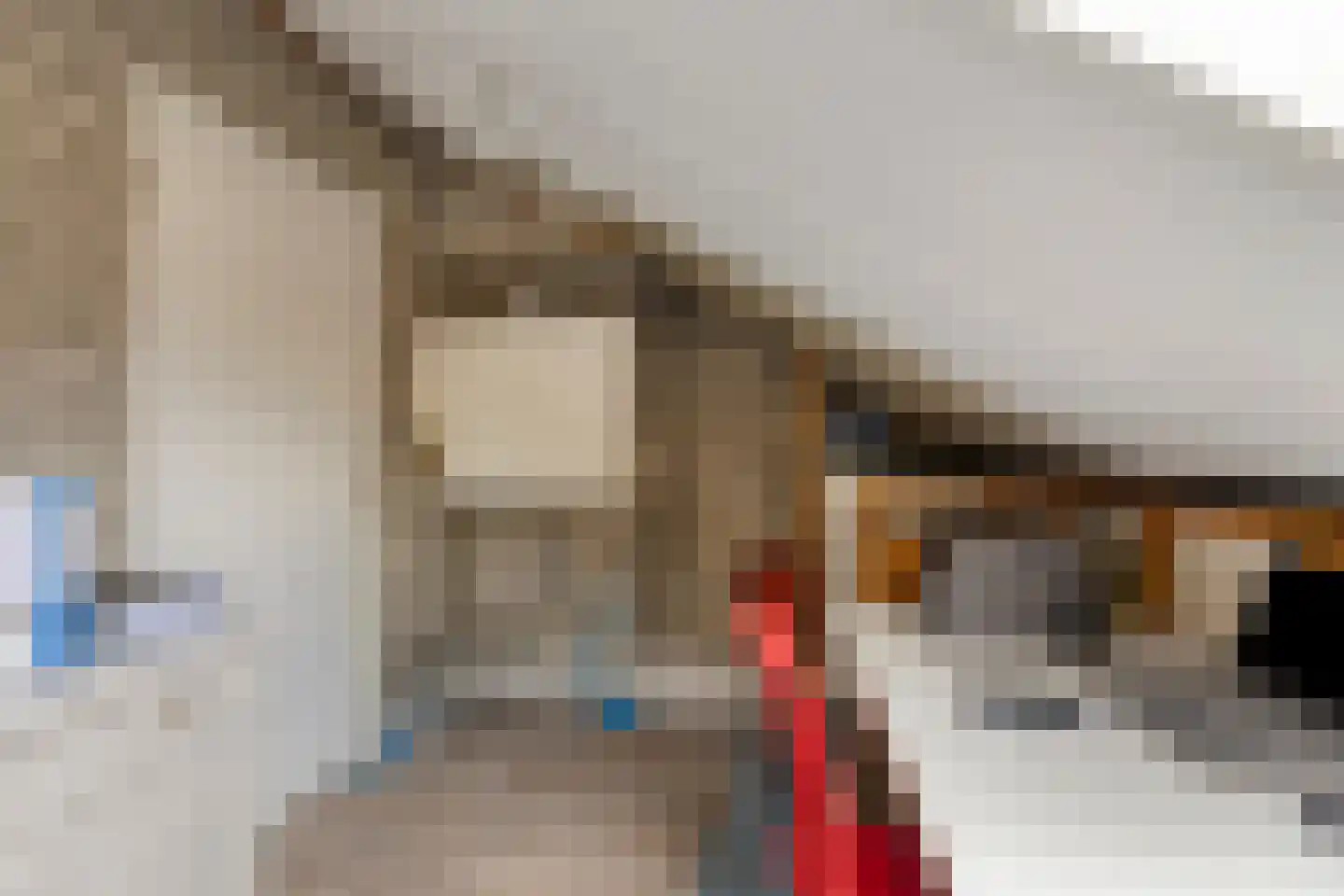 Wersakker 26 Mierlo thumbnail 38