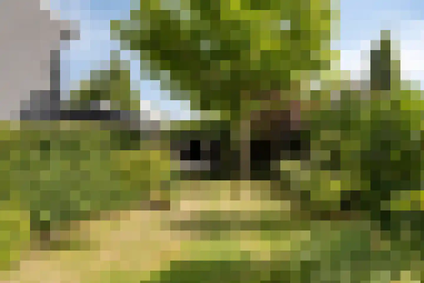 Wersakker 26 Mierlo thumbnail 42