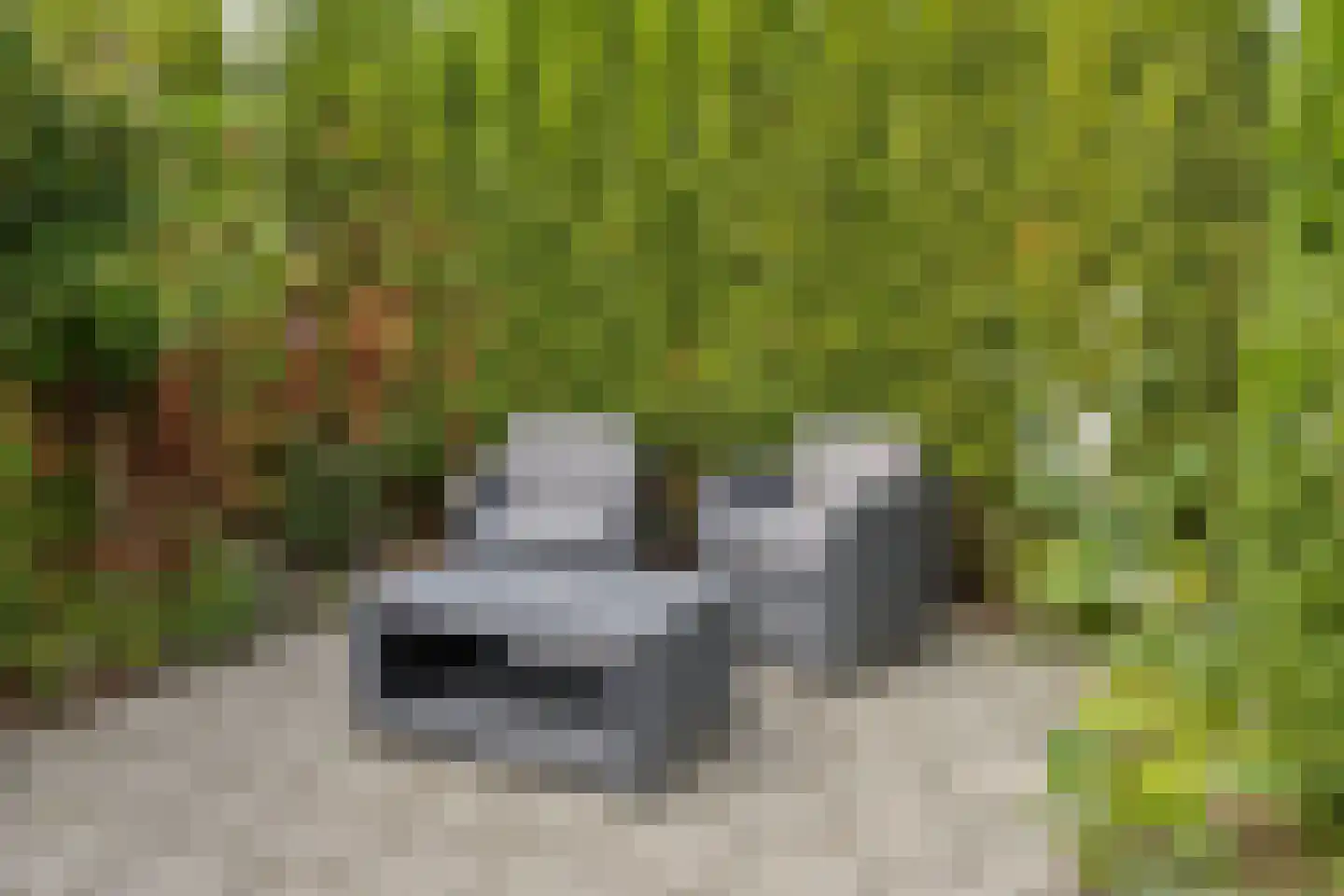 Wersakker 26 Mierlo thumbnail 44