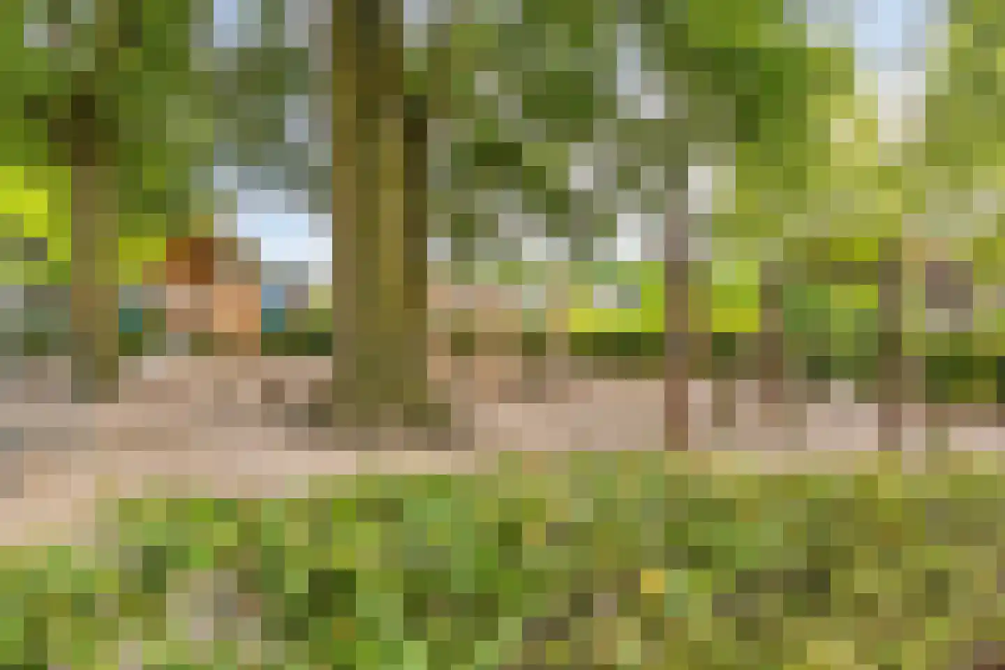 Wersakker 26 Mierlo thumbnail 48