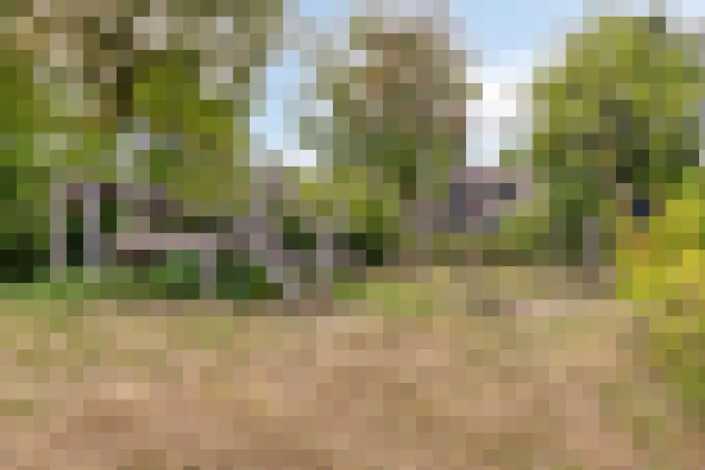 Wersakker 26 Mierlo thumbnail 49