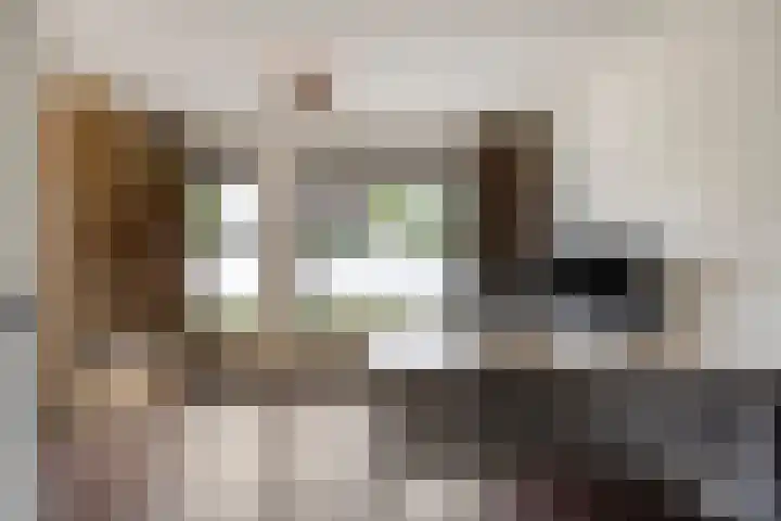 Wersakker 40 Mierlo thumbnail 13