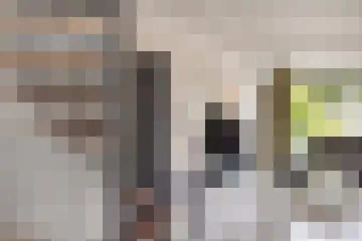 Wersakker 40 Mierlo thumbnail 14
