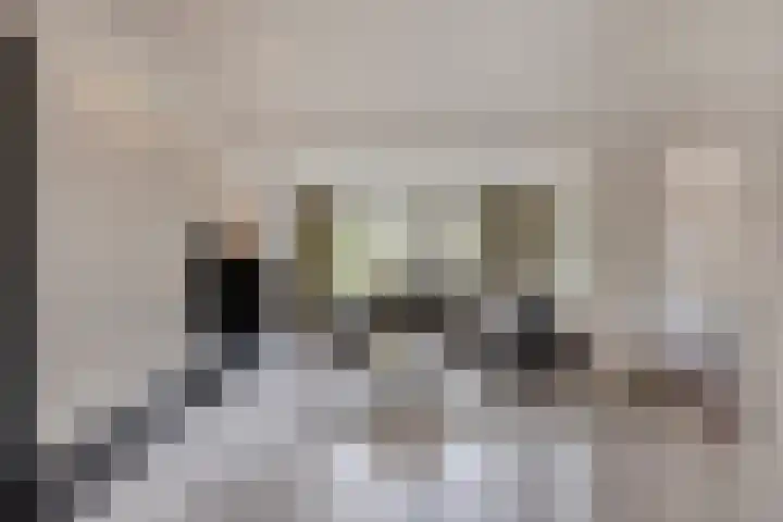 Wersakker 40 Mierlo thumbnail 15