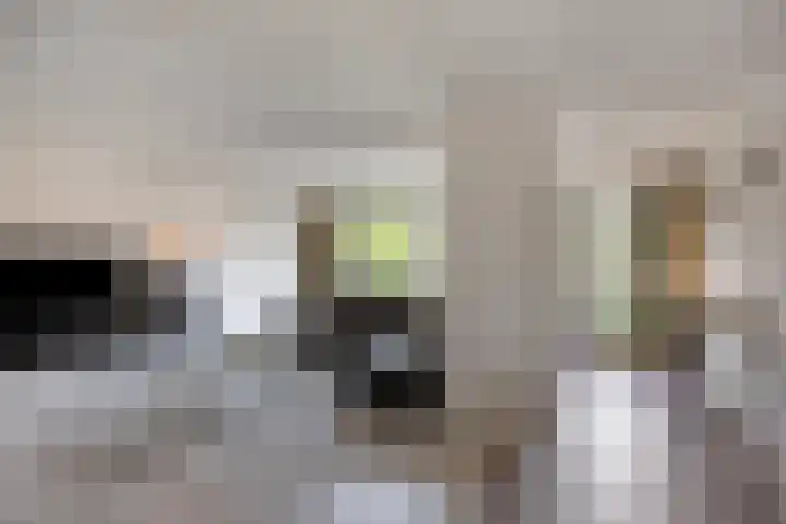 Wersakker 40 Mierlo thumbnail 18