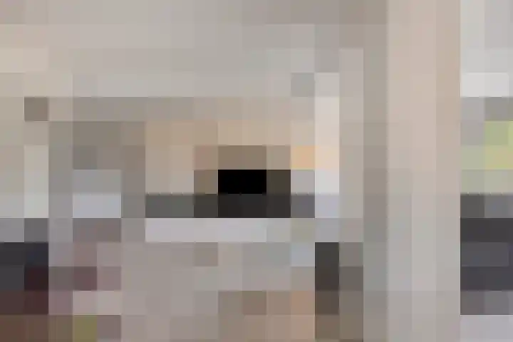 Wersakker 40 Mierlo thumbnail 19