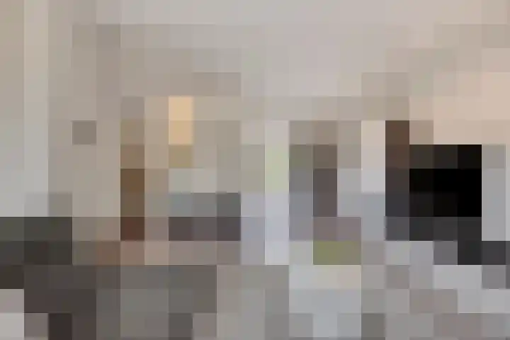 Wersakker 40 Mierlo thumbnail 20