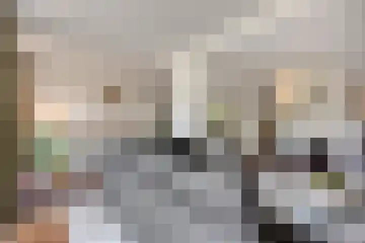 Wersakker 40 Mierlo thumbnail 21