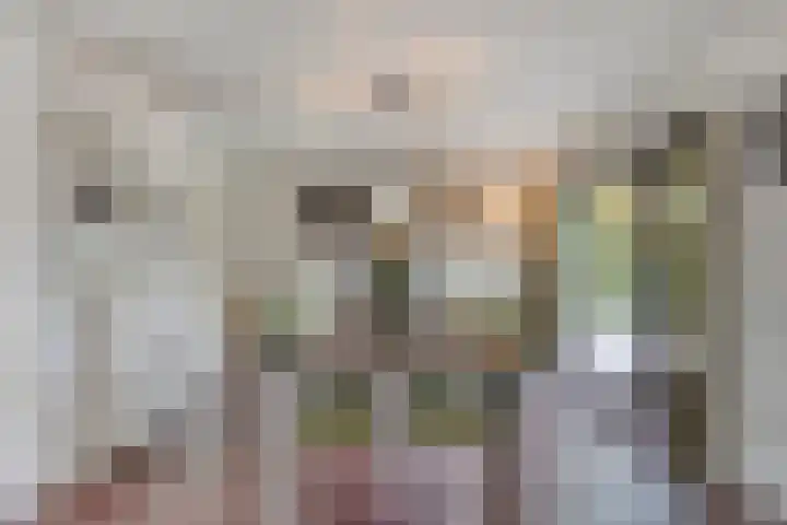 Wersakker 40 Mierlo thumbnail 23