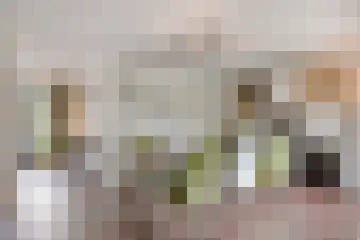 Wersakker 40 Mierlo thumbnail 24