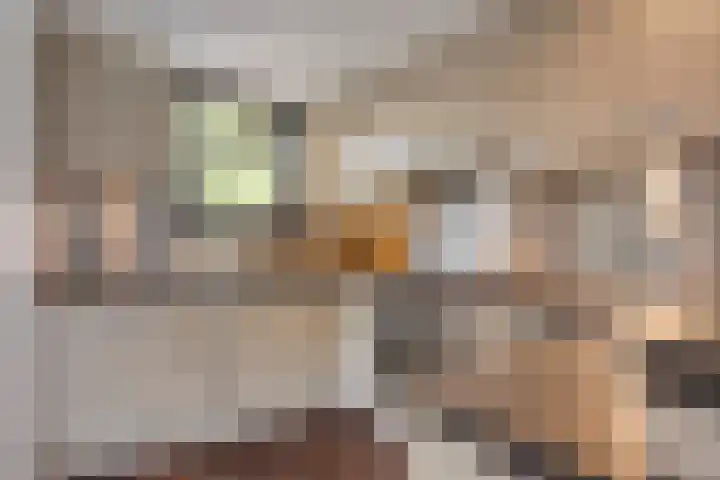 Wersakker 40 Mierlo thumbnail 27