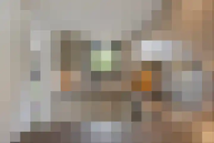 Wersakker 40 Mierlo thumbnail 28