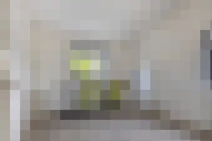 Wersakker 40 Mierlo thumbnail 39