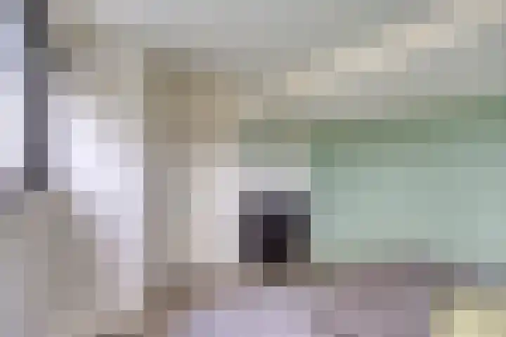 Wersakker 40 Mierlo thumbnail 45