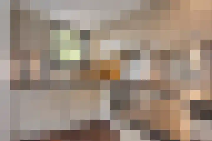 Wersakker 40 Mierlo thumbnail 5